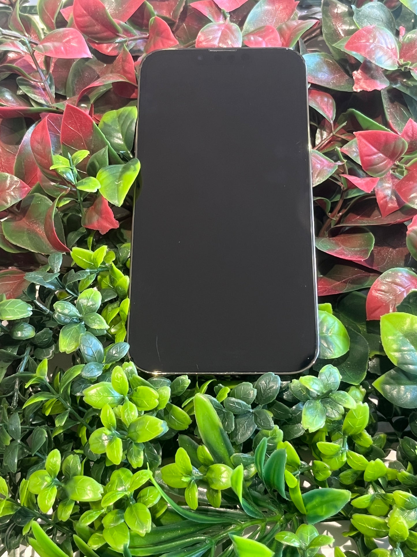 IPHONE 13 PRO OCCASION