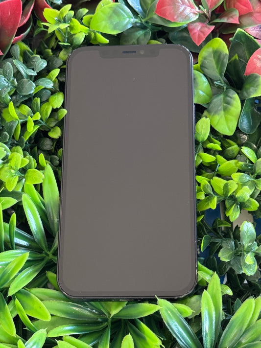Iphone 12 BLEU 256GO