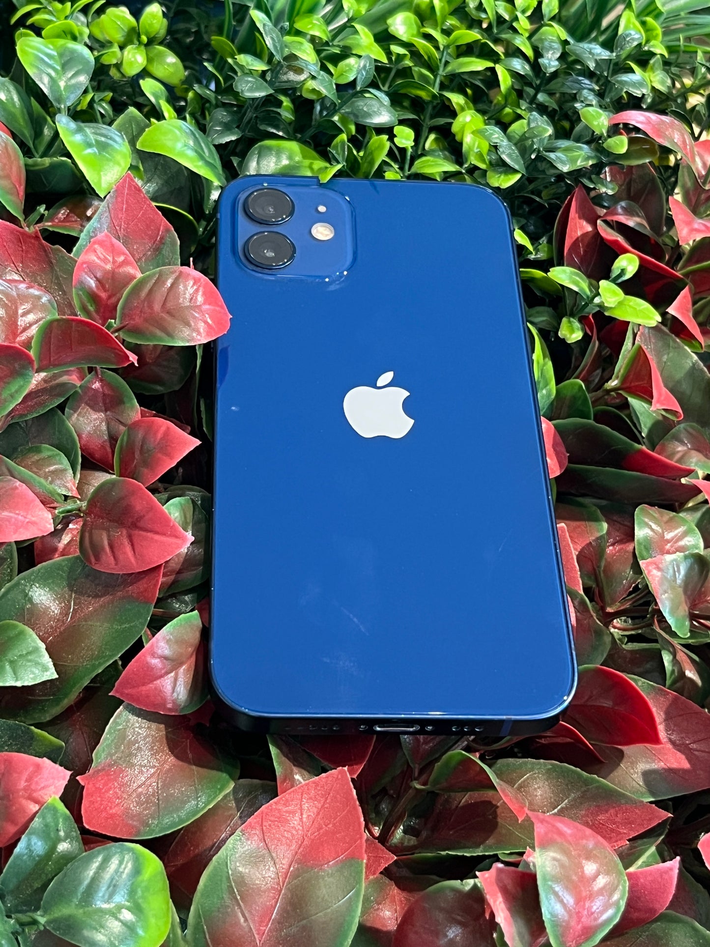 IPHONE 12 RECONDITIONNE