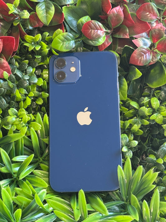 Iphone 12 BLEU 256GO